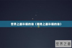 世界上最补脑的油（陆地上最补脑的油）