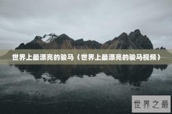 世界上最漂亮的骏马（世界上最漂亮的骏马视频）