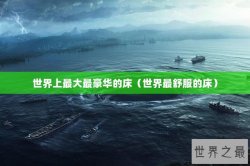 世界上最大最豪华的床（世界最舒服的床）