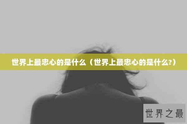 世界上最忠心的是什么（世界上最忠心的是什么?）
