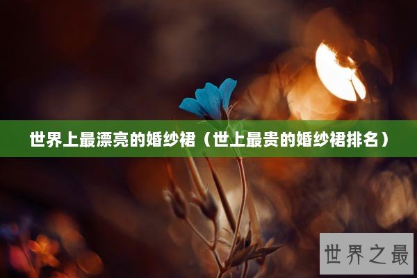 世界上最漂亮的婚纱裙（世上最贵的婚纱裙排名）