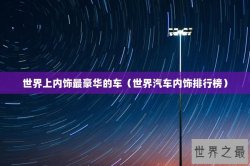 世界上内饰最豪华的车（世界汽车内饰排行榜）