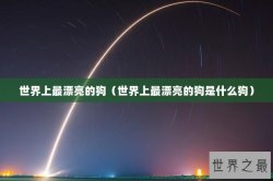 世界上最漂亮的狗（世界上最漂亮的狗是什么狗）
