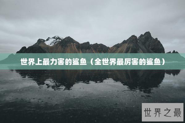 世界上最力害的鲨鱼（全世界最厉害的鲨鱼）