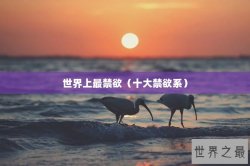 世界上最禁欲（十大禁欲系）