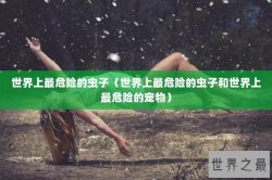世界上最危险的虫子（世界上最危险的虫子和世界上最危险的宠物）