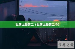 世界上最第二（世界上最第二个）