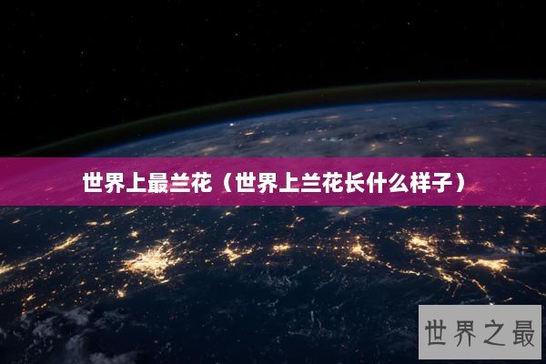 世界上最兰花（世界上兰花长什么样子）