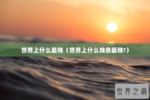 世界上什么最辣（世界上什么辣条最辣?）