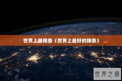 世界上最辣条（世界上最好的辣条）