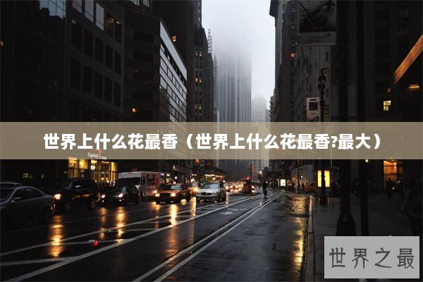 世界上什么花最香（世界上什么花最香?最大）