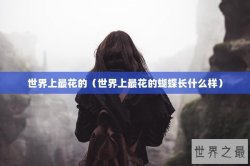 世界上最花的（世界上最花的蝴蝶长什么样）