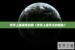 世界上最稀有的鲸（世界上最罕见的鲸鱼）