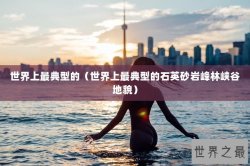 世界上最典型的（世界上最典型的石英砂岩峰林峡谷地貌）