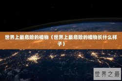 世界上最危险的植物（世界上最危险的植物长什么样子）