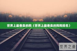 世界上最善良的狗（世界上最善良的狗狗排名）