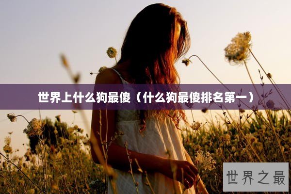 世界上什么狗最傻（什么狗最傻排名第一）