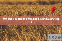世界上最干旱的沙漠（世界上最干的沙漠是哪个沙漠）