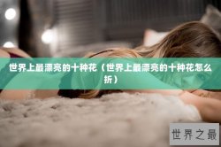 世界上最漂亮的十种花（世界上最漂亮的十种花怎么折）
