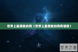 世界上最勇敢的狗（世界上最勇敢的狗有哪些）