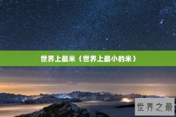 世界上最米（世界上最小的米）