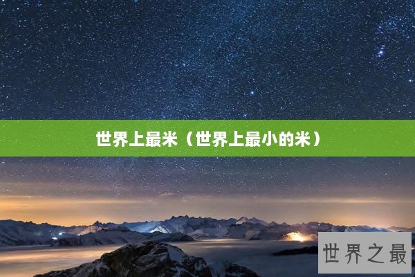 世界上最米(世界上最小的米) 世界上最米(世界上最小的米)