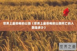 世界上最恐怖的公路（世界上最恐怖的公路死亡的人数是多少）