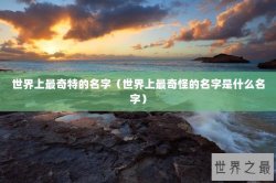 世界上最奇特的名字（世界上最奇怪的名字是什么名字）