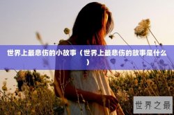 世界上最悲伤的小故事（世界上最悲伤的故事是什么）