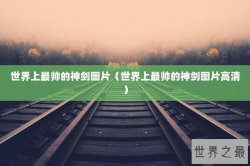 世界上最帅的神剑图片（世界上最帅的神剑图片高清）