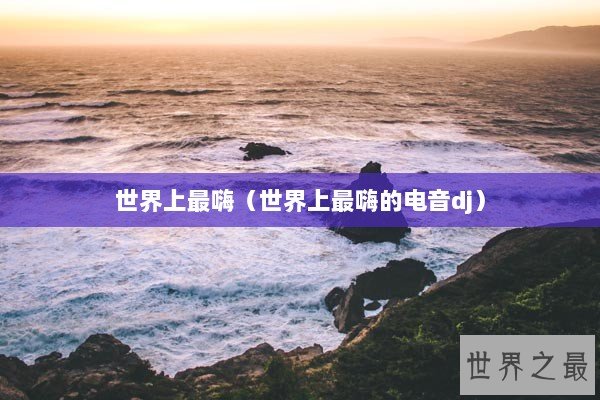 世界上最嗨（世界上最嗨的电音dj）