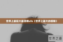 世界上最巨大最清晰ufo（世界上最大的模糊）
