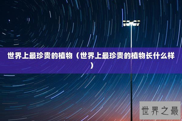 世界上最珍贵的植物（世界上最珍贵的植物长什么样）