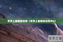 世界上最精致的枪（世界上最精致的枪M9）
