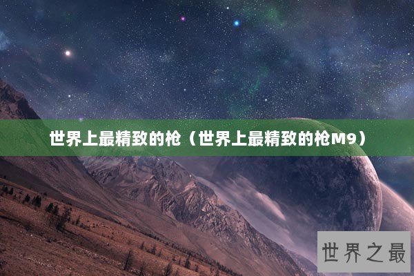 世界上最精致的枪（世界上最精致的枪M9）