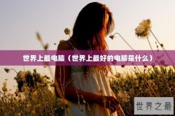 世界上最电脑（世界上最好的电脑是什么）
