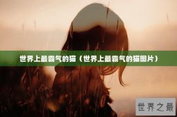 世界上最霸气的猫（世界上最霸气的猫图片）