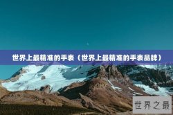世界上最精准的手表（世界上最精准的手表品牌）
