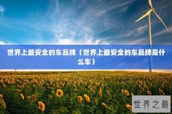 世界上最安全的车品牌（世界上最安全的车品牌是什么车）