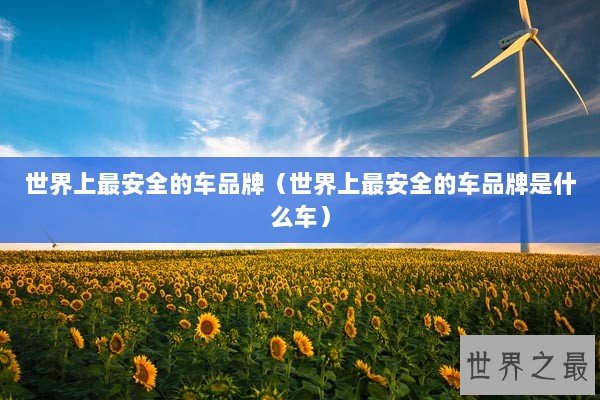世界上最安全的车品牌（世界上最安全的车品牌是什么车）