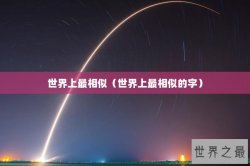 世界上最相似（世界上最相似的字）