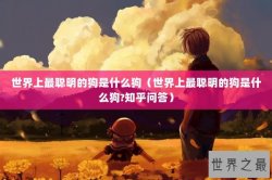 世界上最聪明的狗是什么狗（世界上最聪明的狗是什么狗?知乎问答）