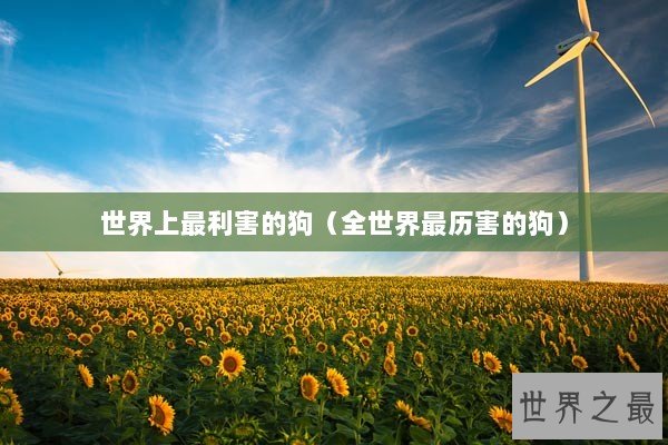 世界上最利害的狗（全世界最历害的狗）