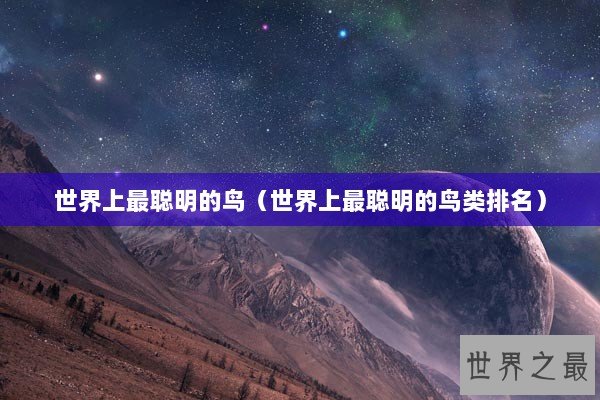 世界上最聪明的鸟（世界上最聪明的鸟类排名）