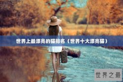 世界上最漂亮的猫排名（世界十大漂亮猫）