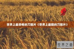 世界上最恐怖的刀图片（世界上最酷的刀图片）