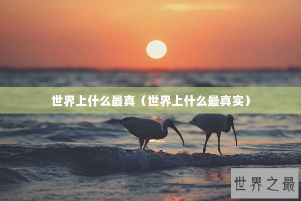 世界上什么最真（世界上什么最真实）