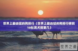 世界上最凶猛的狗排行（世界上最凶猛的狗排行榜前10杜宾犬排第几）