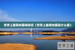 世界上最萌的猫咪排名（世界上最萌的猫是什么猫）