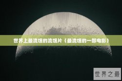 世界上最流氓的流氓片（最流氓的一部电影）